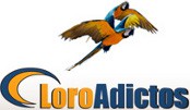www.loroadictos.com
